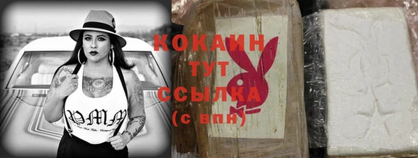 МДПВ Козловка
