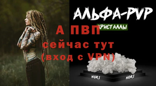 гашик Киренск