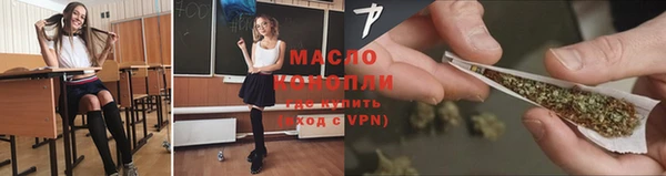 стаф Кодинск