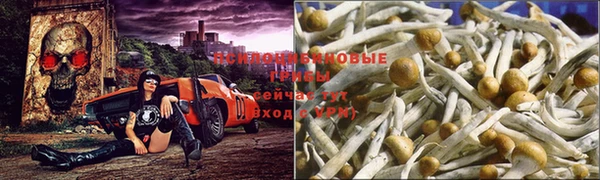МДПВ Козловка