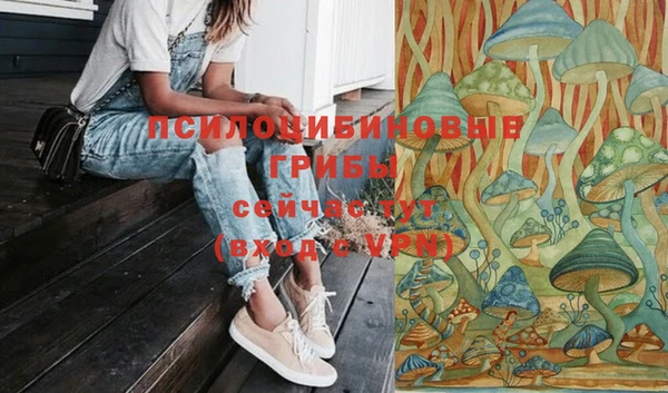МДПВ Козловка