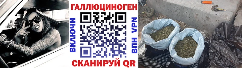 Галлюциногенные грибы мухоморы  Купить закладки  Краснокаменск 